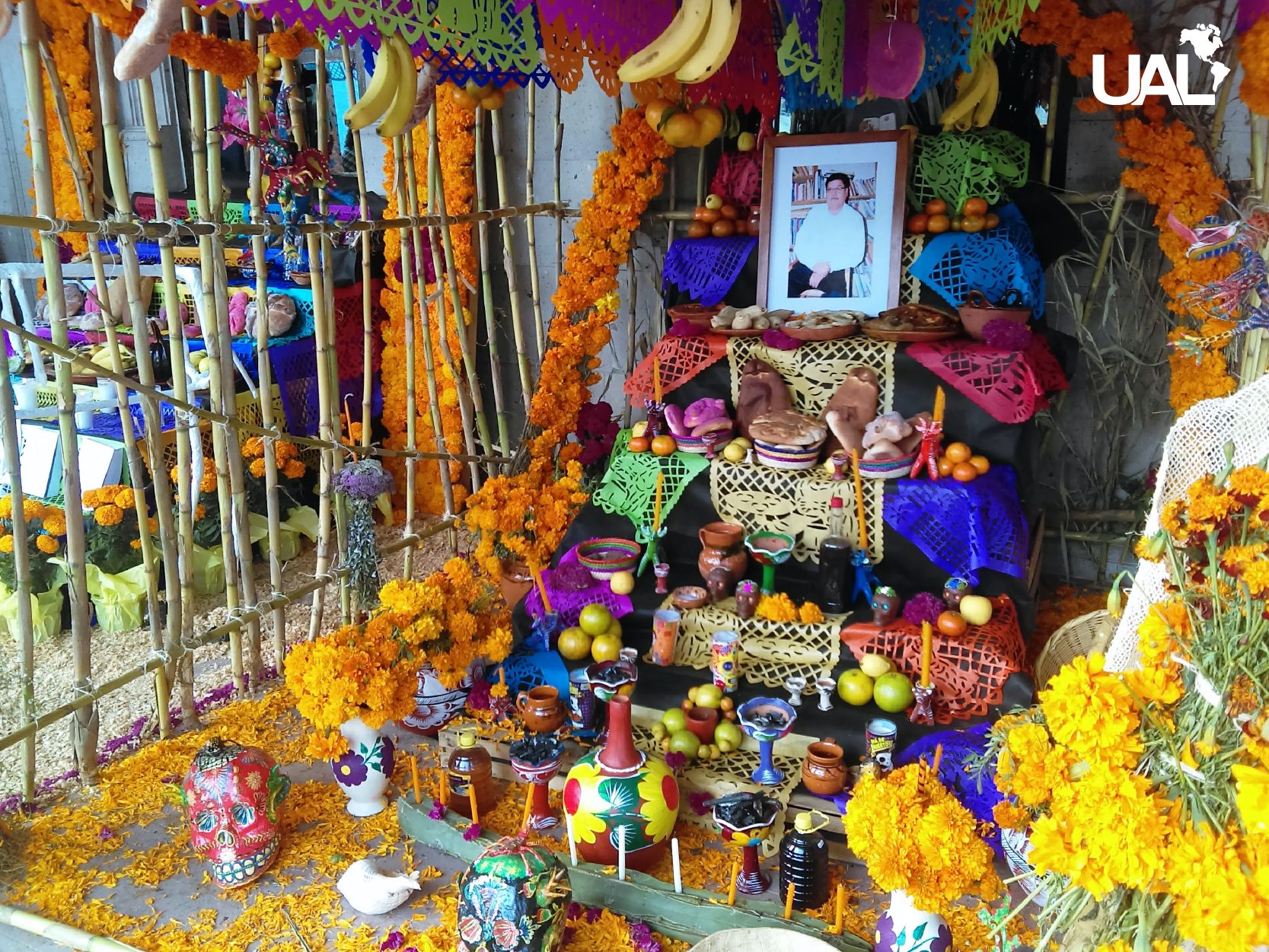 Alta de muertos